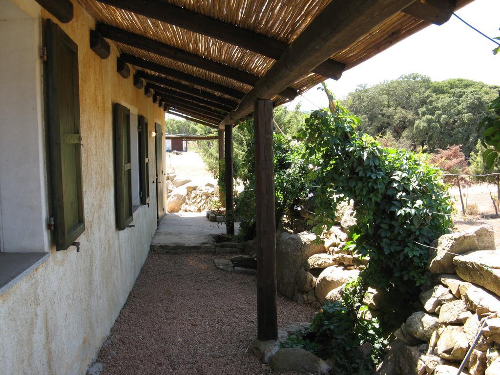 La Macciona Apartment Aglientu Exterior photo