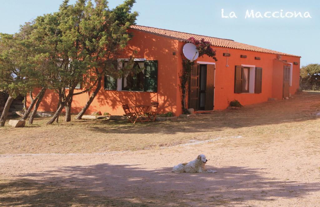 La Macciona Apartment Aglientu Exterior photo